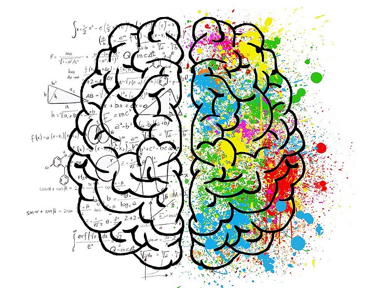 Konzentration stärken - illustriertes Gehirn